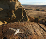 Chandra Observatory over Winter Wheat Fields;  November 2010; Rim rock capstone (collapsed), carving, 21 & 23 carat gold leaf, varnish; 16"x12"; Sumatra Hills, Montana.
