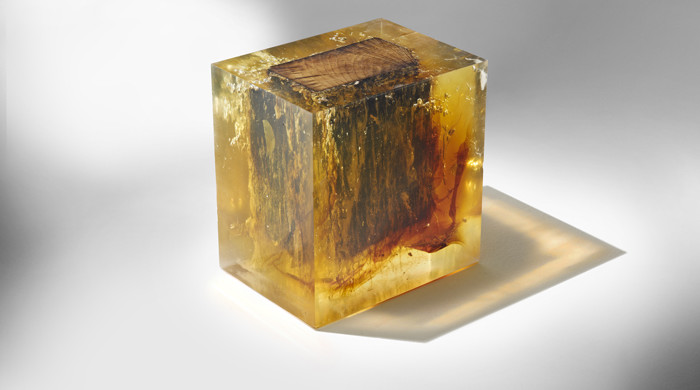 Image courtesy of Nucleo