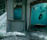 Courtesy of the artist