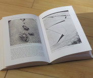Page spread courtesy of the reviewer.