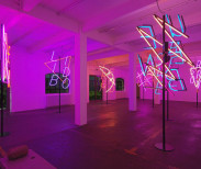 David Renggli, Scaramouche Installation View courtesy of Kunst Halle Sankt Gallen.