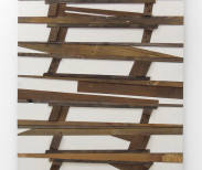 MICHAEL ZELEHOSKI
Chutes and Ladder, 2013. Assemblage with ladder and found wood
45 x 31 in.