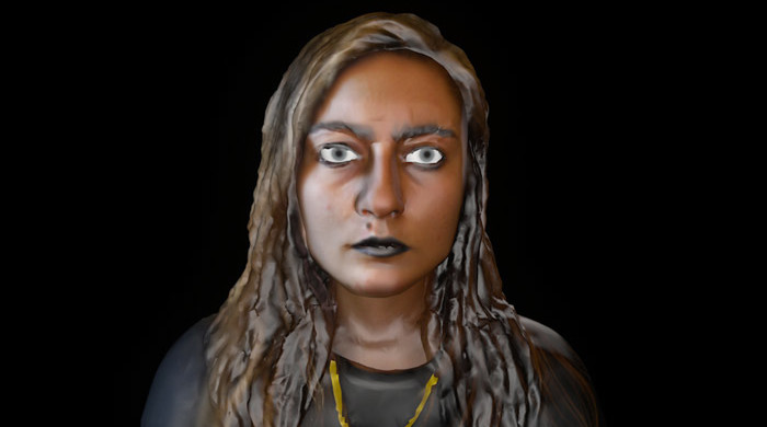 Casey Jane Ellison, Fear of Getting Framed, Image still, 2013. Image courtesy of the artist.