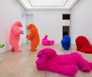 Paola Pivi, Ok, you are better than me, so what? Installation view, 2013. Image courtesy of Galerie Perrotin.