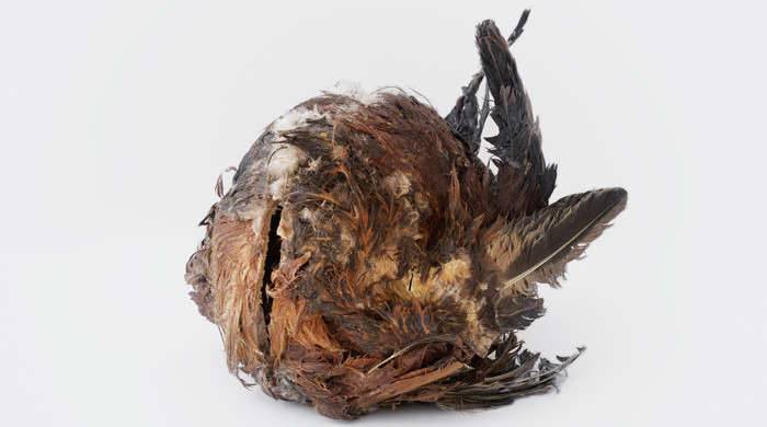 Michaelo E. Smith, Mike, 2013. Two roosters, plastic. 15 x 11 x 12 in. Image courtesy of the artist and Clifton Benevento Gallery