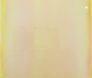 Jus Juchtmans, 20071015, 2007. Acrylic on canvas. 20 x 16 in. Image courtesy of Margaret Thatcher Projects.