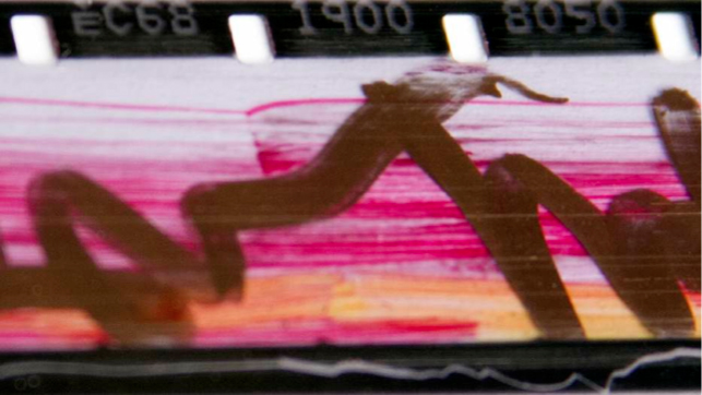 Russell Sheaffer,Detail of  Acetate Diary, 2013. Image courtesy of the artist.