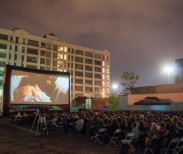 Rooftop Films Screening of Obvious Child. Image courtesy of Rooftop Films.