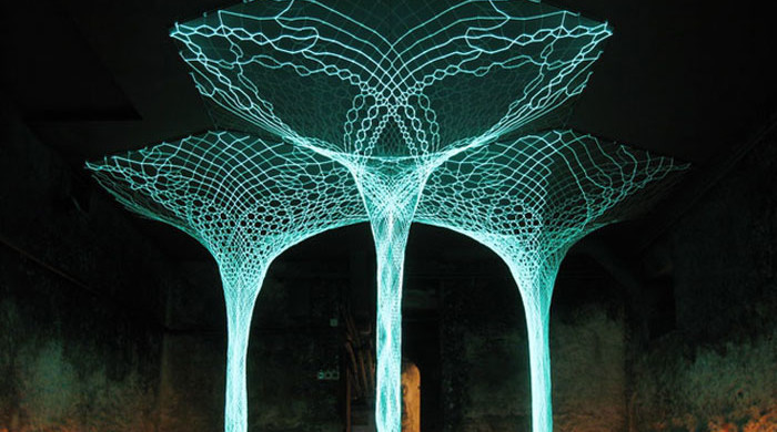 Rachel Wingfield, Mathias Gmachl, Sonumbra de Vincy, 2008. Courtesy of Loop.pH.