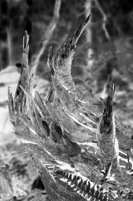 Tina Smyrnios, Referential 4, 2012-2013, type C photograph, 102 x 152cm