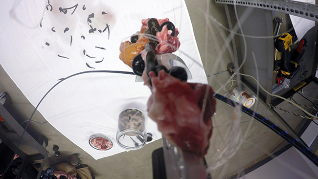  The Inaugural Performance of Doo-Sung Yoo's Leech Project at the Opening Reception of the 'BioPresence' Exhibition Hopkins Hall Gallery, Columbus, Ohio December 9th 2015