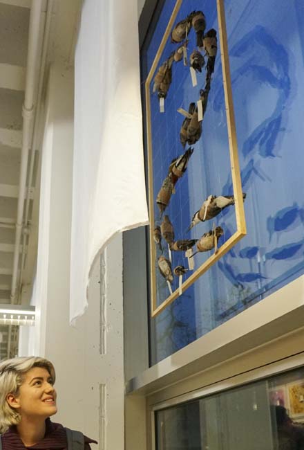 STRIKE detail of bird installation by Amy Youngs, 'BioPresence' Exhibition, Hopkins Hall Gallery, Columbus, Ohio December 9th 2015