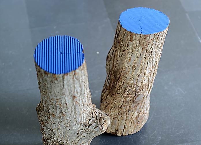 Jill Baroff in a grove (detail), 2016 White walnut wood, flasche