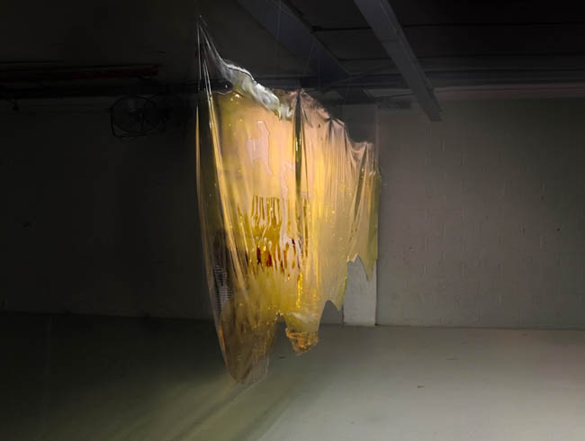 CONSUME, 2016 Ioannis Oikonomou, Eirini Tsachrelia Edible translucent colored gelatin, vinyl mold, monofilament line Dimensions approximately 11’6” x 4’6” x 10” (3,5 x 1,4 x .25 m).