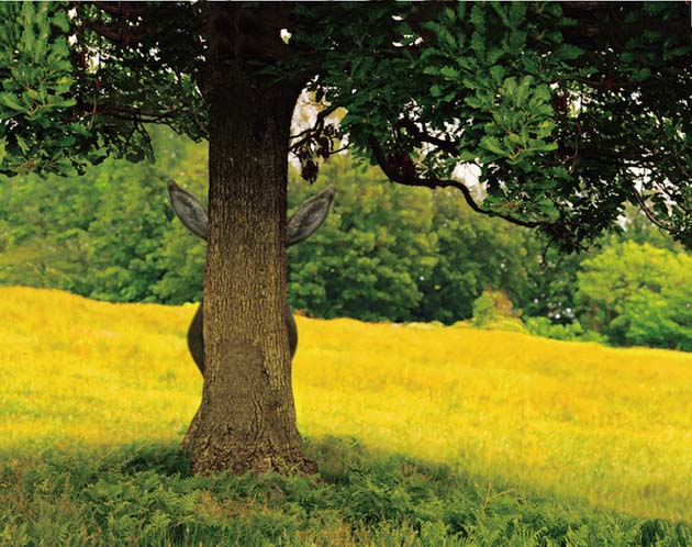 Maurizio Cattelan, Untitled, 2007 Photo Pier Paolo Ferrari