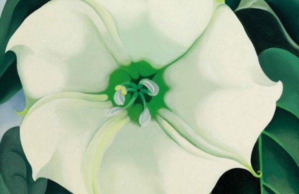 Georgia O'Keeffe Jimson Weed/White Flower No. 1 1932 Crystal Bridges Museum of American Art, Arkansas USA © 2016 Georgia O'Keeffe Museum/DACS, London. Photograph by Edward C. Robison III