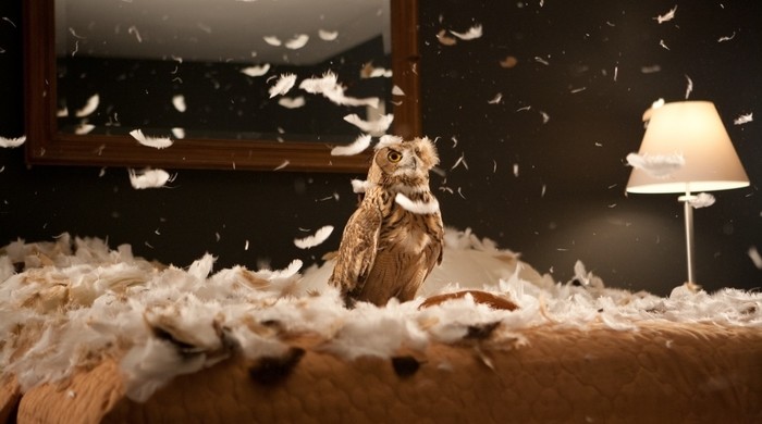 Doug Aitken, migration (empire) (still), 2008, video installation with three channels of video (color, sound), three projections, three steel and PVC screen billboard sculptures, 24:28 minutes/loop, installation dimensions variable